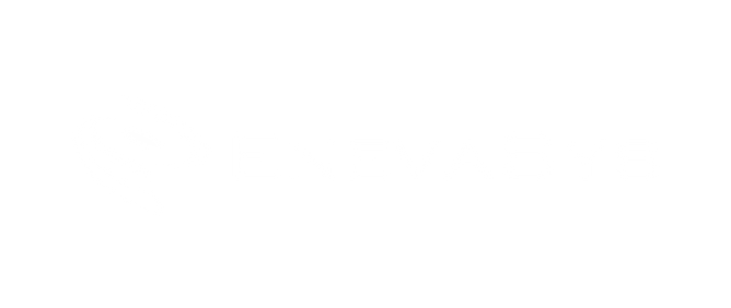 ENEVASYS-1