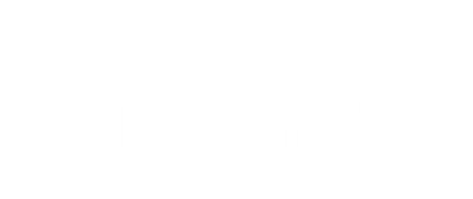 FINLINK-1